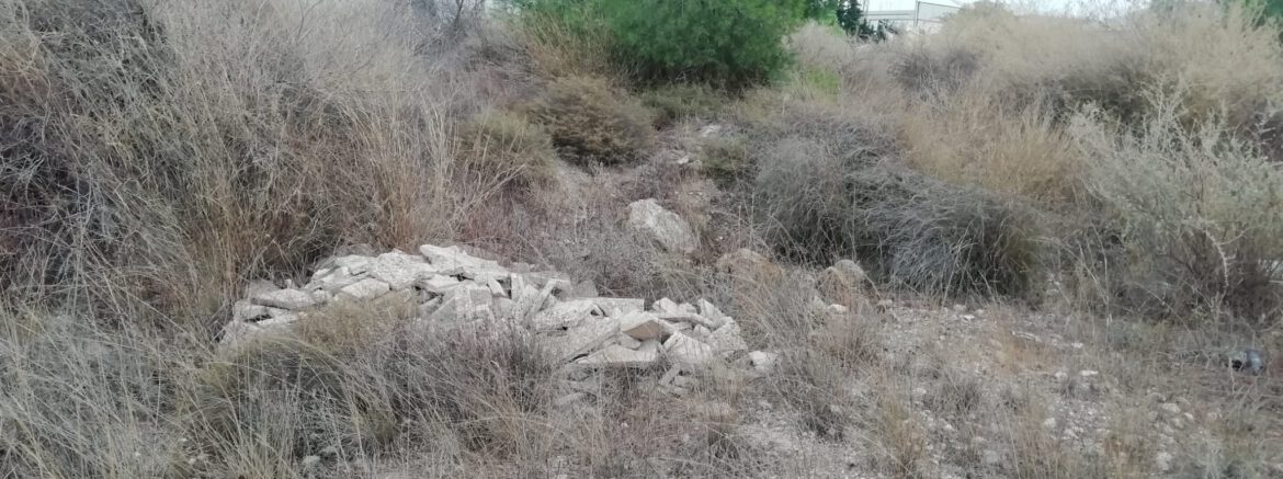 WhatsApp Image 2024-08-26 at 13.20.17 (1)