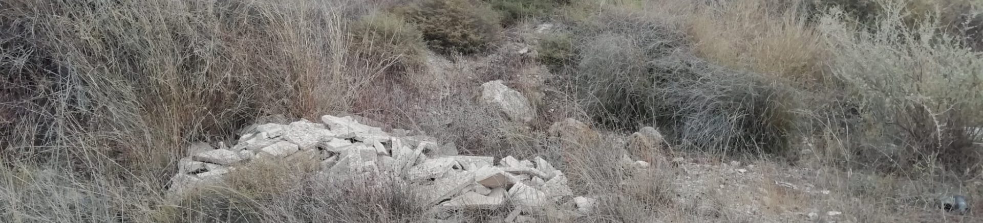 WhatsApp Image 2024-08-26 at 13.20.17 (1)